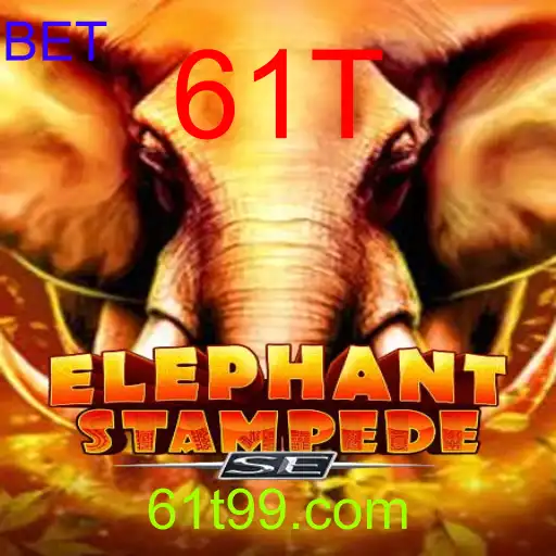 ElephantStampedeSE